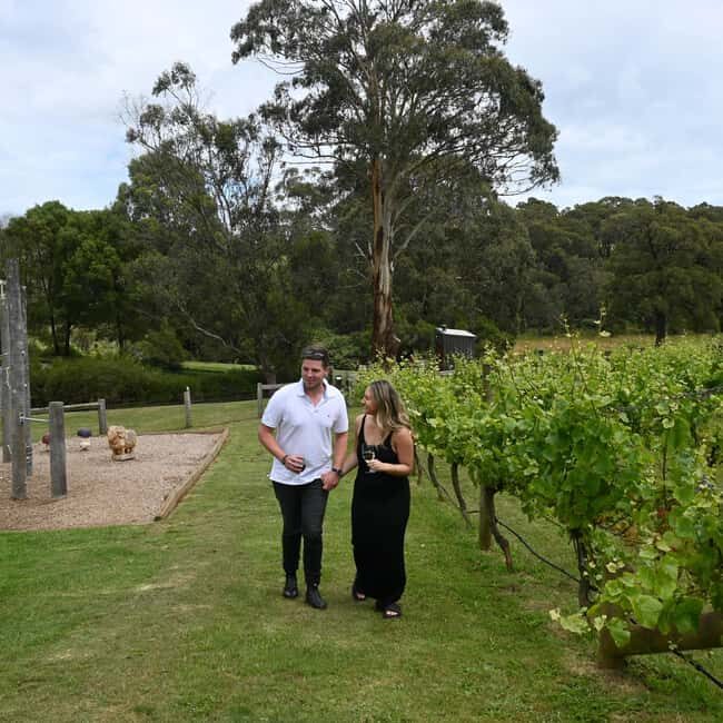 Farmers Lunch - Food and Wine for 2 - The Farm Setting and Atmosphere