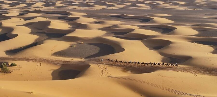 Fès: 2 Days Desert Trip to Merzouga (1 Night), Marrakech - The Long Road to Marrakech – Scenic Stops and Challenges