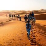 Fès: 2 Days Desert Trip to Merzouga (1 Night), Return to Fès - Key Points