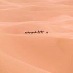 Fes: 3-Day Desert Tour to Agadir via Merzouga Desert - What’s Included and What’s Not