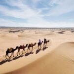 Fes: 3 Days Desert Tour from Fes back to Fez - Exploring the Route and Its Highlights