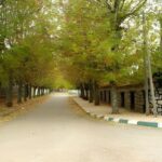 Fes: Day Trip to Middle Atlas: Imouzzer, Ifrane, Azrou - Why This Tour Offers Good Value
