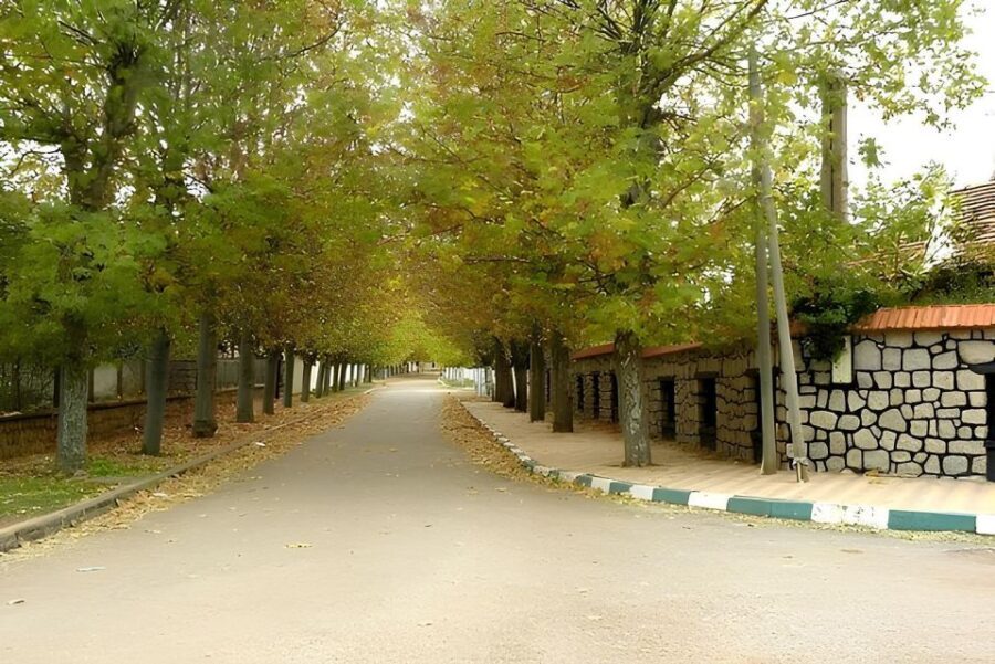 Fes: Day Trip to Middle Atlas: Imouzzer, Ifrane, Azrou - Why This Tour Offers Good Value