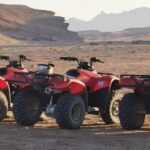 Fes: Quad Biking & Camel Photo Experience with Moroccan Tea - Analyzing the Value