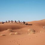 Fes To Marrakech: 3-Day Desert Tour - Day 1: From Fes to Merzouga via Midelt and the Atlas