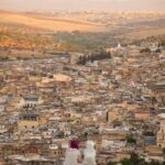 Fez: City Tour with Royal Palace, Mellah, and Medina - Discovering Fez: What This Tour Offers