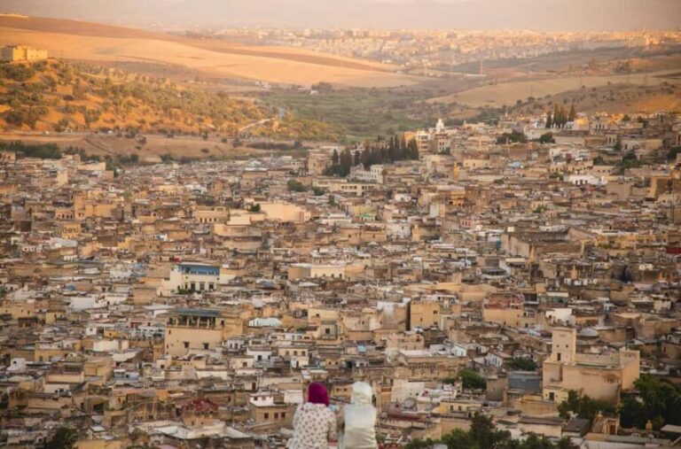 Fez: City Tour with Royal Palace, Mellah, and Medina - Discovering Fez: What This Tour Offers