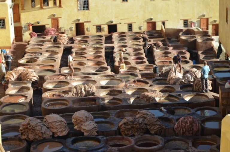 Fez: Half-Day City Private Walking Tour with a Guide - Who Will Love This Tour?