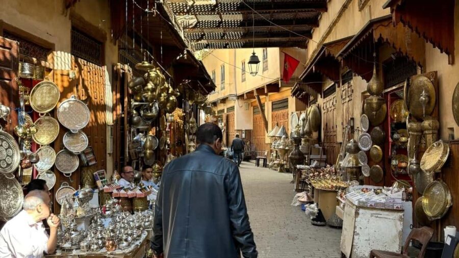 Fez Medina Guided Tour - The Fez Medina Guided Tour: What to Expect