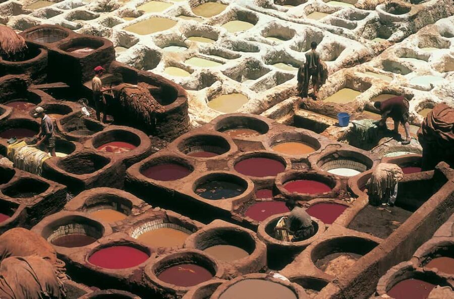 Fez: Moroccan Rug Weaving Experience - What You Can Expect from the Moroccan Rug Weaving Experience