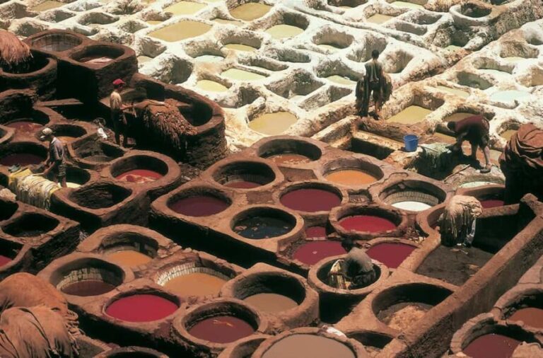 Fez: Natural Wool Dyeing Workshop and Souk Visit - Authentic Insights from Past Participants