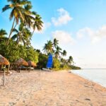 Fiji: Full Day Cultural Island Tour with Lunch & Cruise - A Deep Dive into the Tour Experience