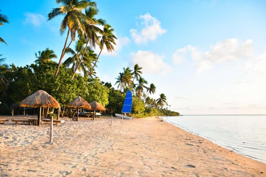 Fiji: Full Day Cultural Island Tour with Lunch & Cruise - A Deep Dive into the Tour Experience