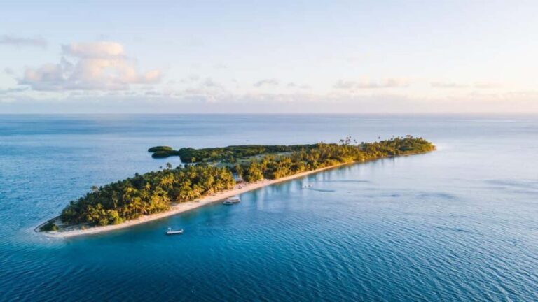 Fiji: Half-Day Island Activities Tour with Jungle Cruise - Practical Details That Matter
