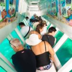 Fiji: South Sea Island Combo Half Day Trip Lunch & Drinks - Who Is This Tour Best For?