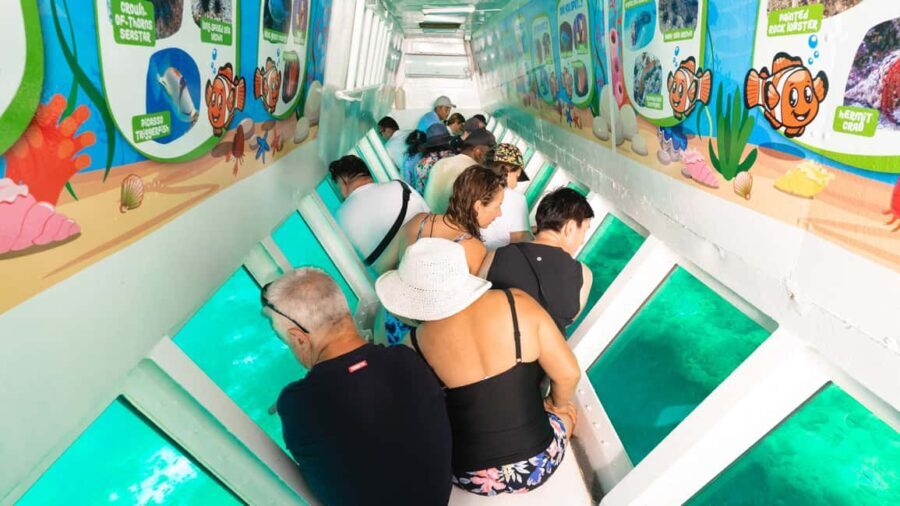 Fiji: South Sea Island Combo Half Day Trip Lunch & Drinks - Who Is This Tour Best For?