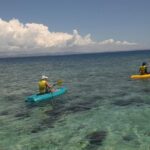 Fijian Islands and Snorkel Full-Day Whales Tale Cruise including Beach BBQ Lunch - Practical Details and Value