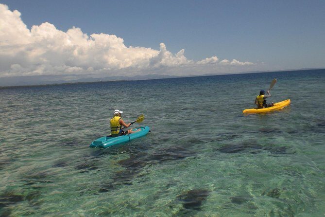 Fijian Islands and Snorkel Full-Day Whales Tale Cruise including Beach BBQ Lunch - Practical Details and Value