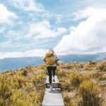 Fiordland: Routeburn Track and Key Summit Guided Day Walk - Who Is This Tour Perfect For?