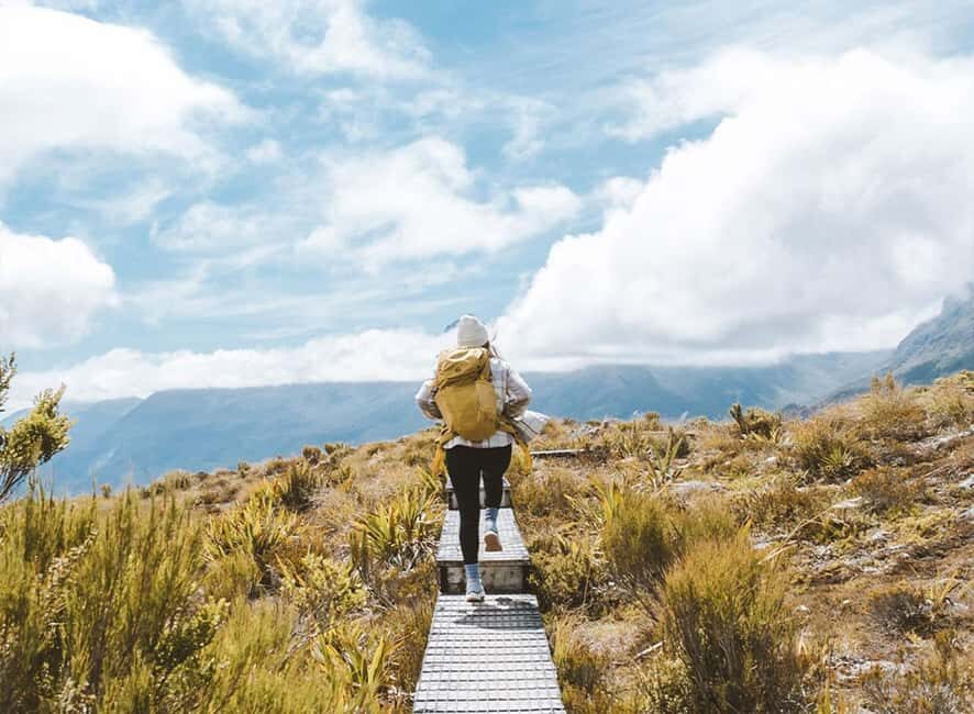 Fiordland: Routeburn Track and Key Summit Guided Day Walk - Who Is This Tour Perfect For?