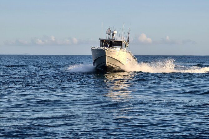 Fishing Charter in Pelican Waters - The Itinerary: What to Expect from Start to Finish