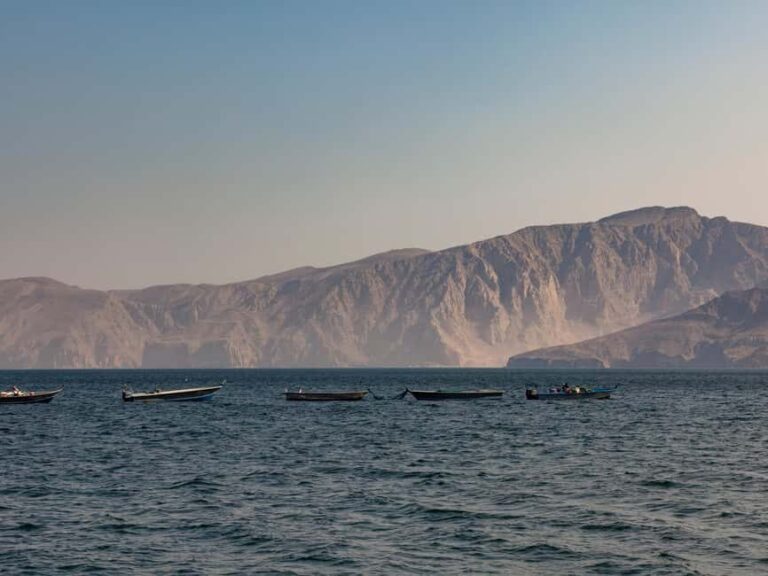 Fishing Tour in Musandam - Final Thoughts: Is It Worth It?