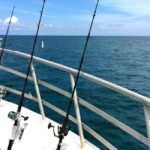 Fishing Trip 4 hours Tour - Who is this tour best suited for?