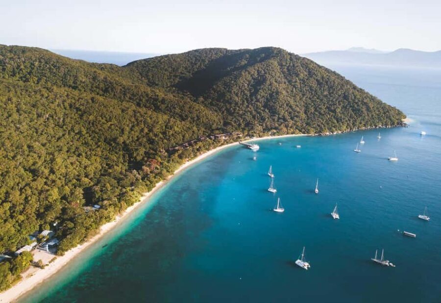 Fitzroy Island: Full-Day Ferry & Snorkel Safari Guided Tour - Who Will Love This Tour?