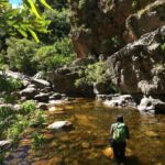 Fly Fishing in Cape Town - The Guides and Their Local Knowledge