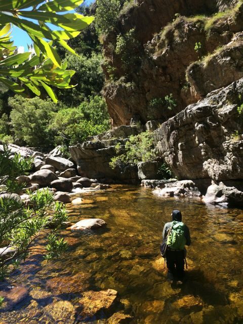 Fly Fishing in Cape Town - The Guides and Their Local Knowledge