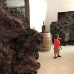 Fogo Island: Around The Island Guided Tour - Final Thoughts on Value and Experience