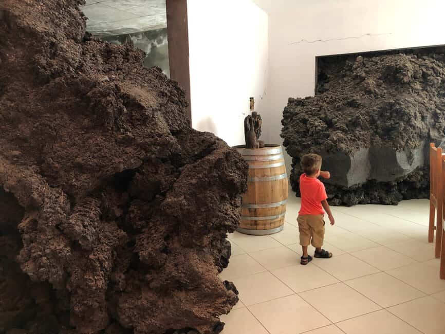 Fogo Island: Around The Island Guided Tour - Final Thoughts on Value and Experience