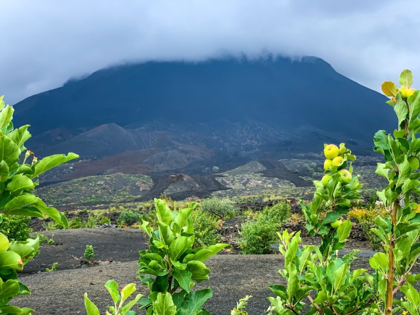 Fogo Island: Pico do Fogo Volcano Summit Hike - The Realities: Pros and Cons