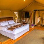 Following The Great Migration Safari in Style  2025 - Who Should Consider This Safari?