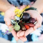 Foraging Food Tour Sydney Native Aussie Food - What’s Included & What to Keep in Mind