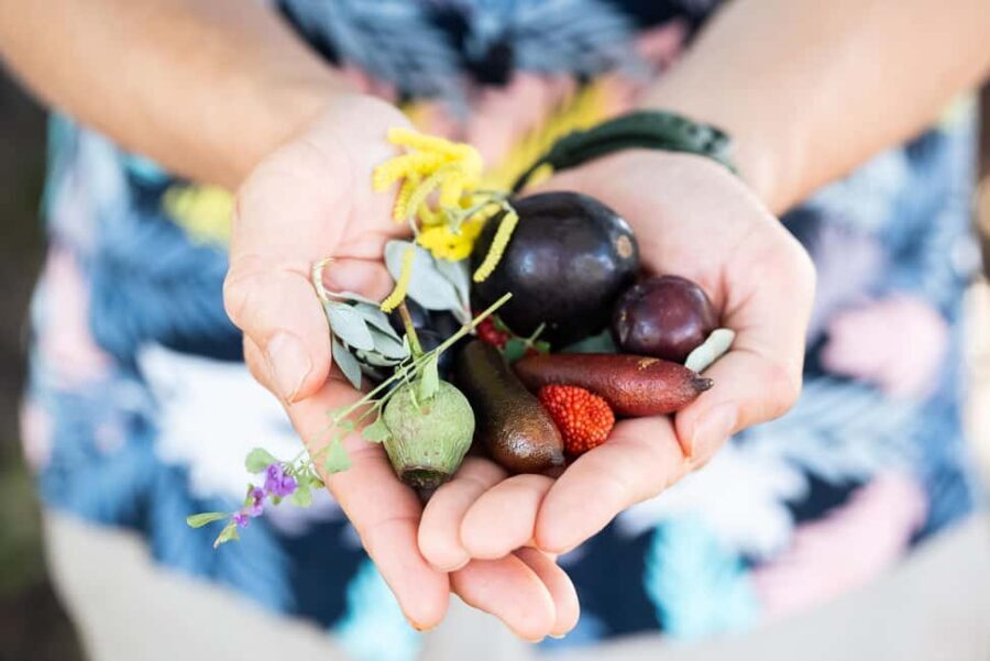 Foraging Food Tour Sydney Native Aussie Food - What’s Included & What to Keep in Mind