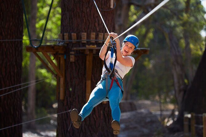 Forest Adventures - Who Is This Experience Best For?