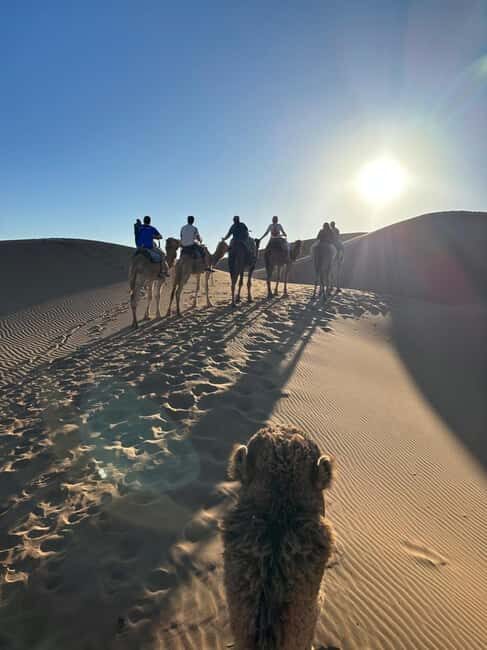 Foum Zguid: Erg Chegaga Overnight Desert Tour with Camel - FAQ