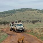 FOUR DAYS BUDGET CAMPING SAFARI - Detailed Review of the 4-Day Budget Camping Safari