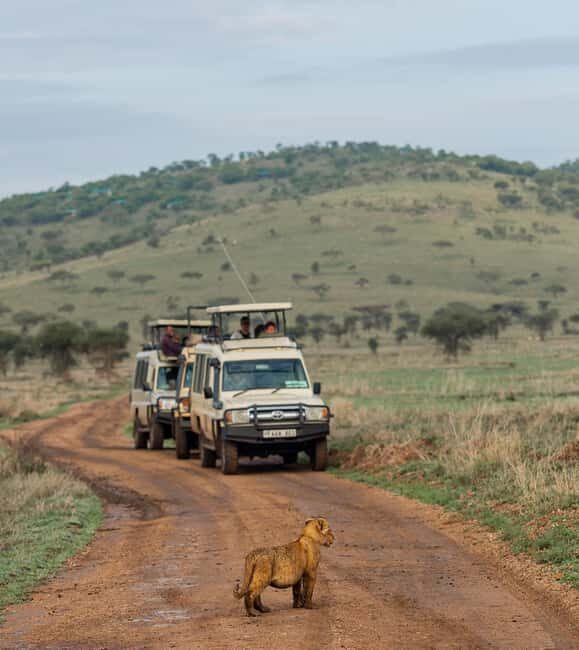 FOUR DAYS BUDGET CAMPING SAFARI - Detailed Review of the 4-Day Budget Camping Safari