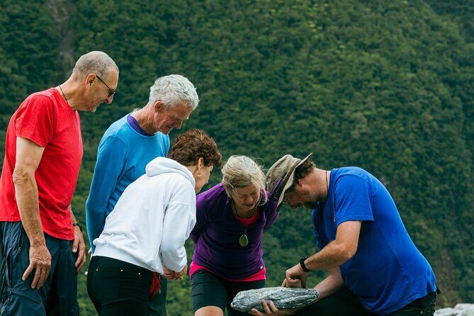Fox Glacier Nature Tour - Who Should Book This Tour?