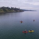 Frankston: Port Phillip Bay Water Bike Tour - The Experience: Practical Details & Value