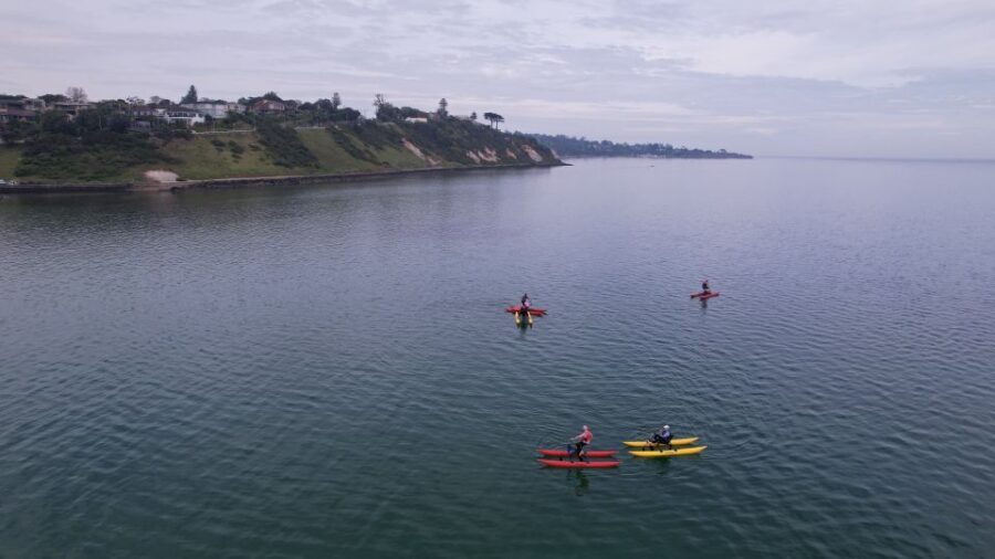 Frankston: Port Phillip Bay Water Bike Tour - The Experience: Practical Details & Value