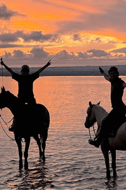 Franschhoek: 2h Horseback Riding at Sunset with Sundowners - What Past Riders Say