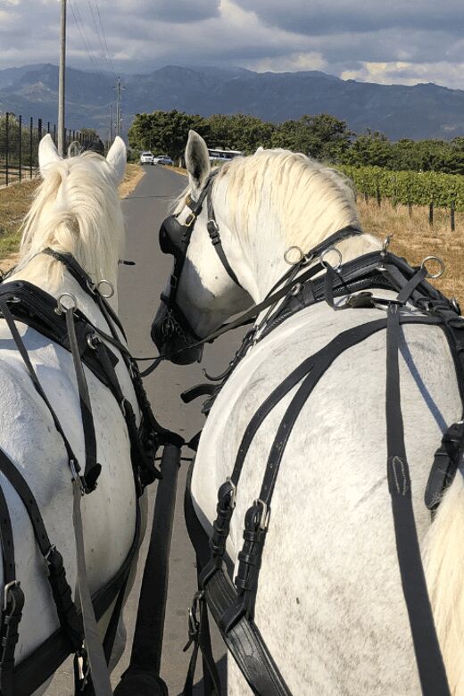 Franschhoek: 2h Private Engagement/Anniversary Carriage Ride - Why This Experience Offers Real Value