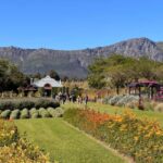 Franschhoek: An enchanting storytelling walk to 3 wine farms - What Sets This Tour Apart?