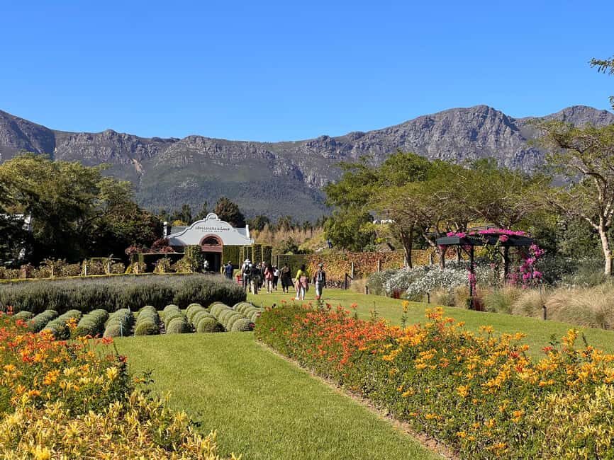 Franschhoek: An enchanting storytelling walk to 3 wine farms - What Sets This Tour Apart?