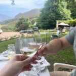 Franschhoek E-Bike & Wine Tour - Why You Should Consider This Tour