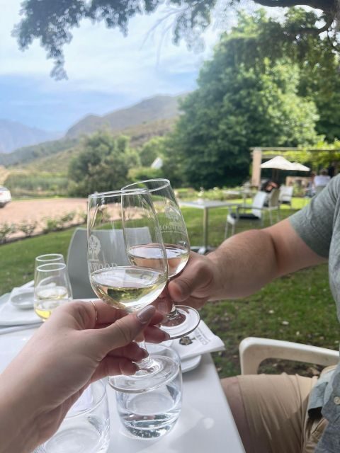 Franschhoek E-Bike & Wine Tour - Why You Should Consider This Tour