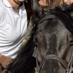 Franschhoek: Full-Day Horseback Riding and Wine Tasting Tour - What We Love About the Tour